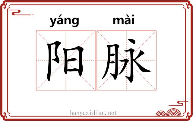 阳脉