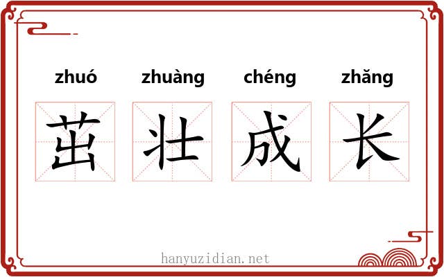 茁壮成长 茁壮成长