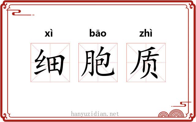 细胞质 细胞质