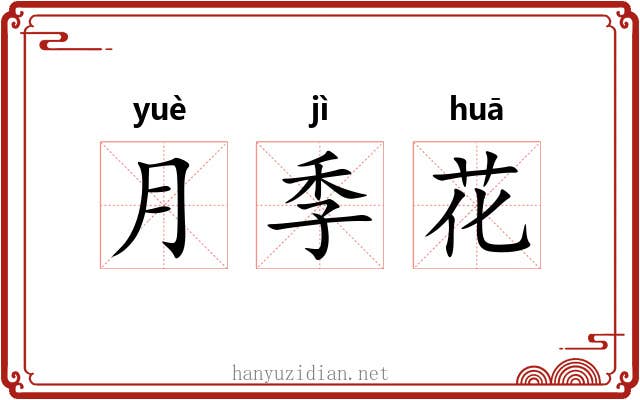 月季花