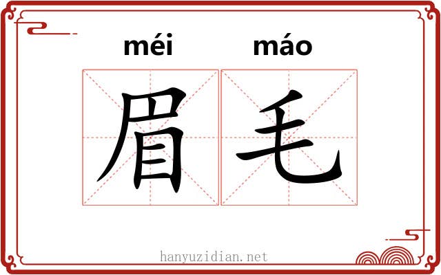 眉毛 眉毛