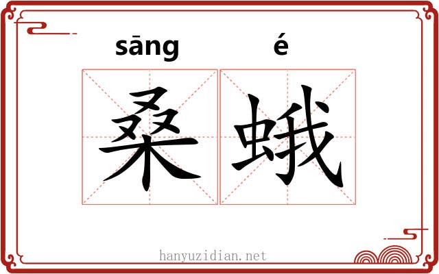 桑蛾