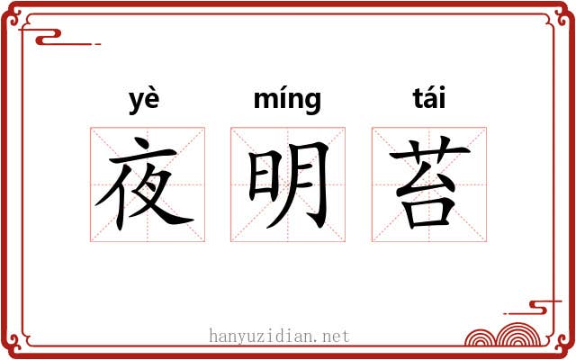 夜明苔 夜明苔