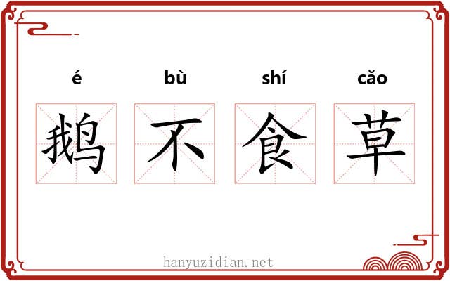 鹅不食草