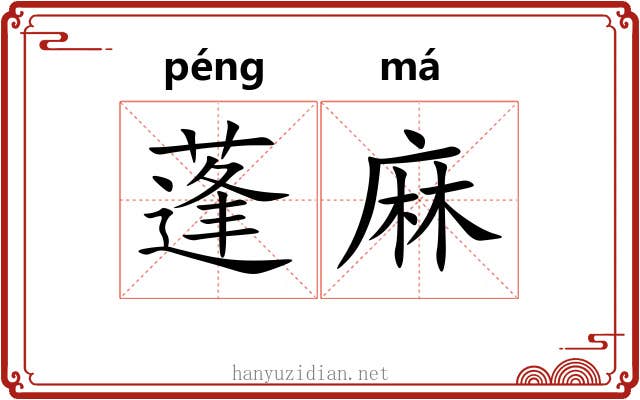 蓬麻 蓬麻