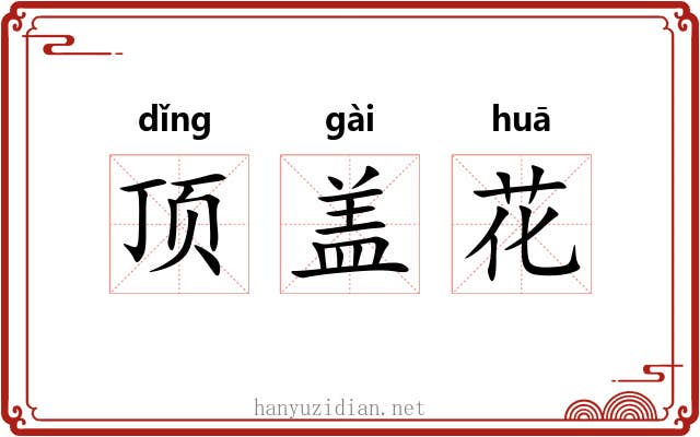 顶盖花 顶盖花