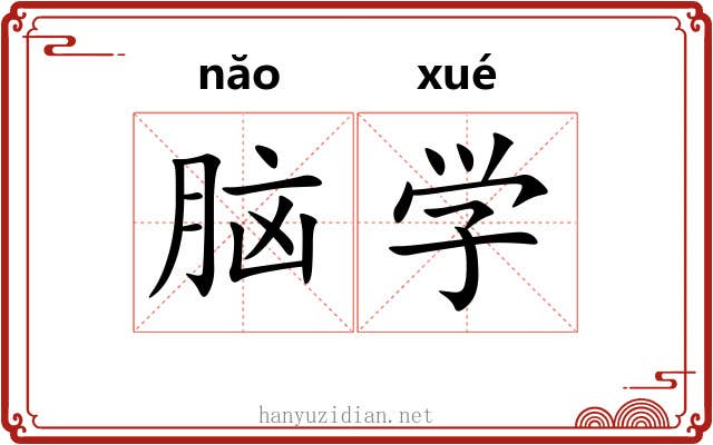 脑学 脑学