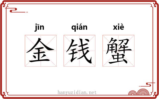 金钱蟹 金钱蟹