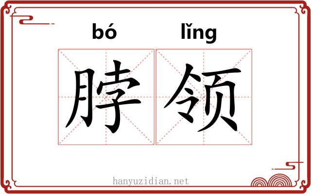 脖领 脖领
