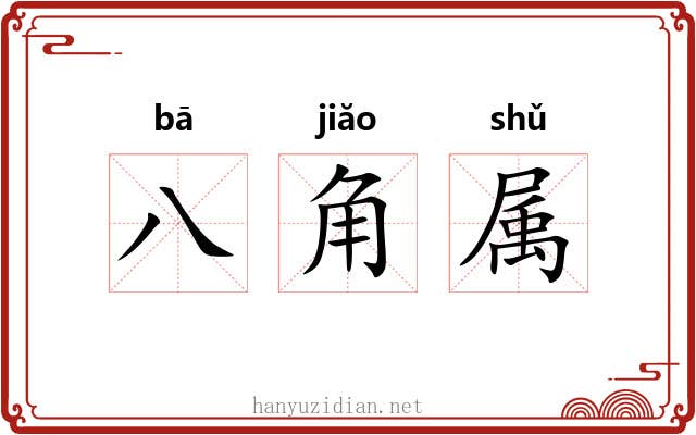 八角属 八角属