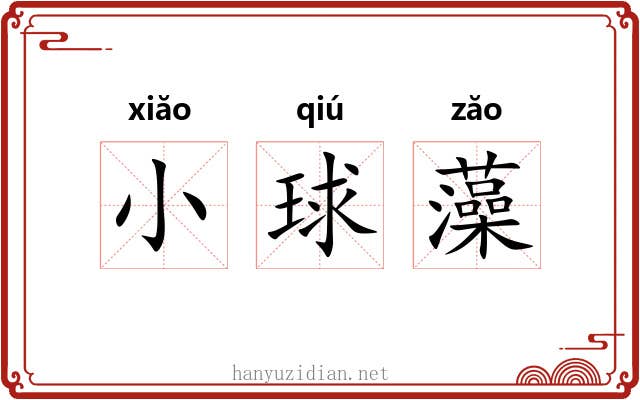 小球藻 小球藻