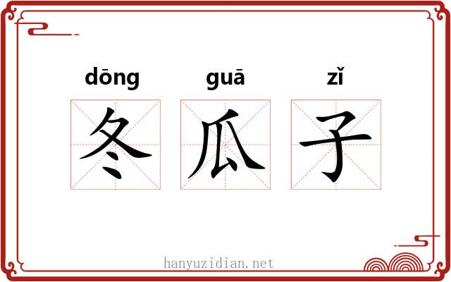 冬瓜子 冬瓜子
