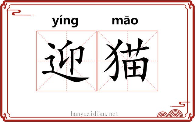 迎猫