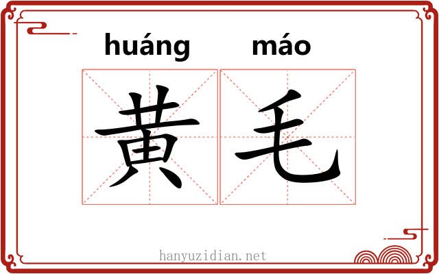 黄毛
