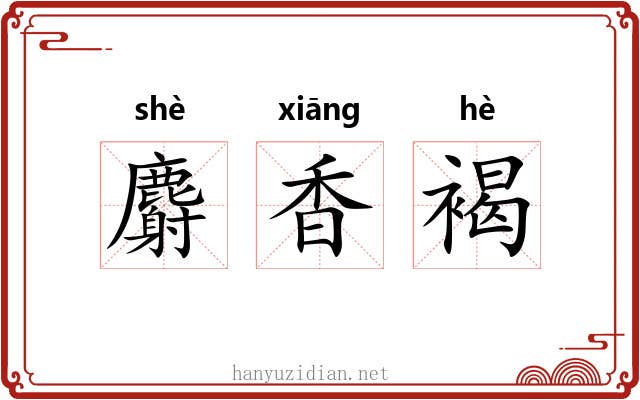 麝香褐