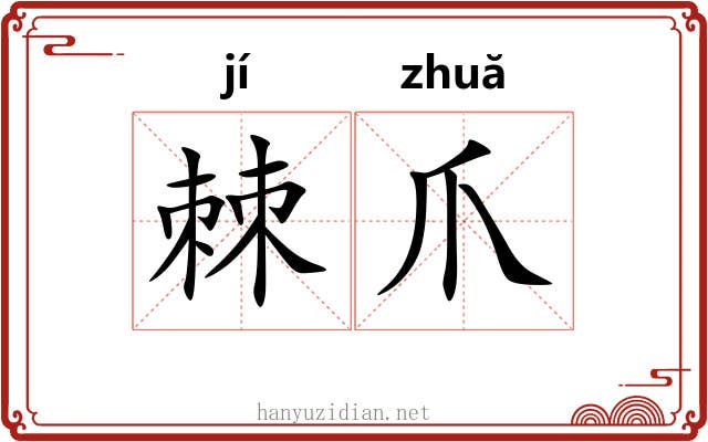 棘爪