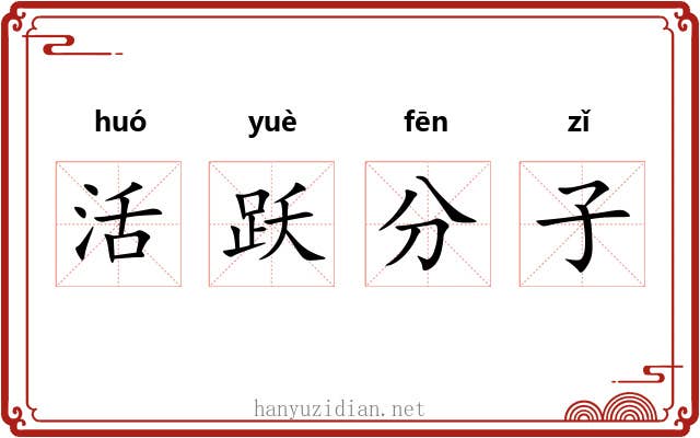 活跃分子 活跃分子