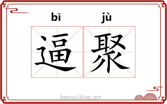 逼聚