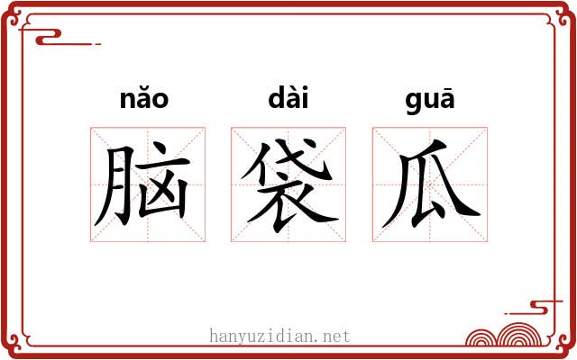 脑袋瓜 脑袋瓜