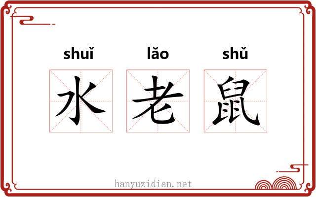 水老鼠 水老鼠