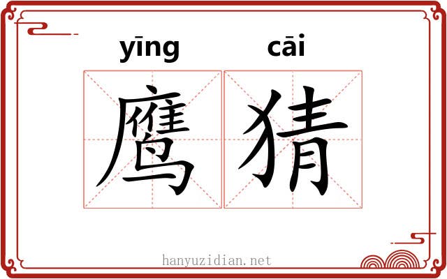 鹰猜