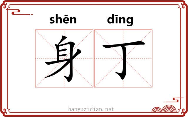身丁