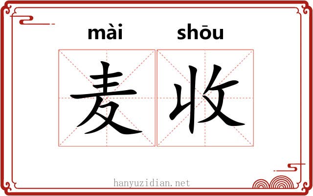 麦收