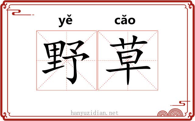 野草 野草
