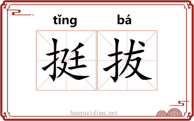 挺拔