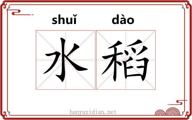 水稻 水稻