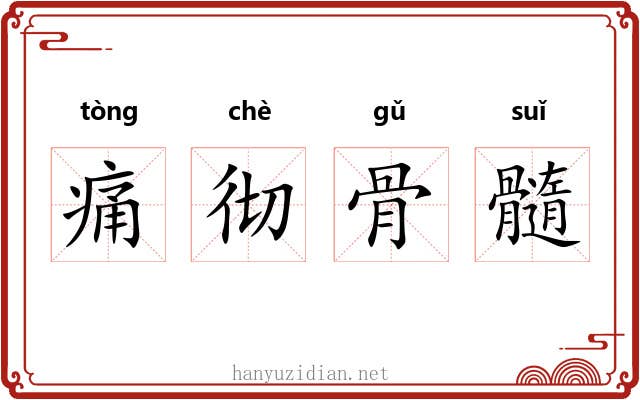 痛彻骨髓