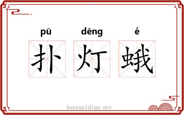 扑灯蛾 扑灯蛾