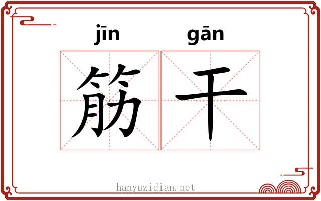 筋干