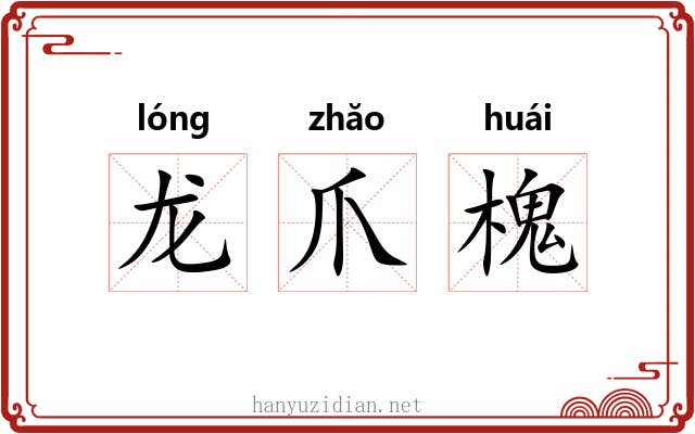 龙爪槐