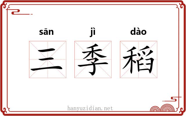 三季稻