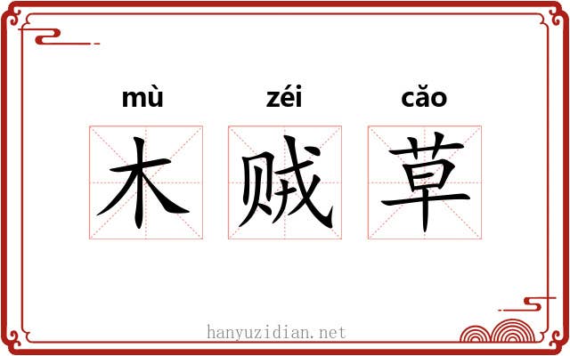 木贼草 木贼草