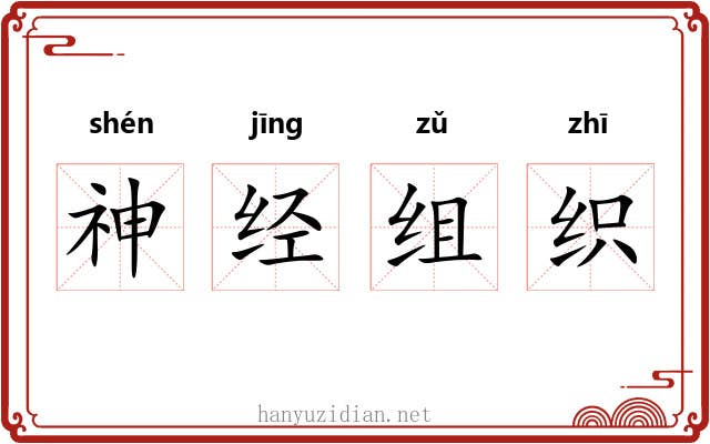神经组织 神经组织