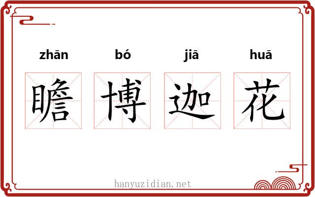 瞻博迦花