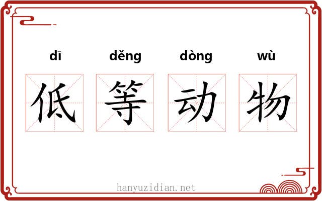 低等动物 低等动物
