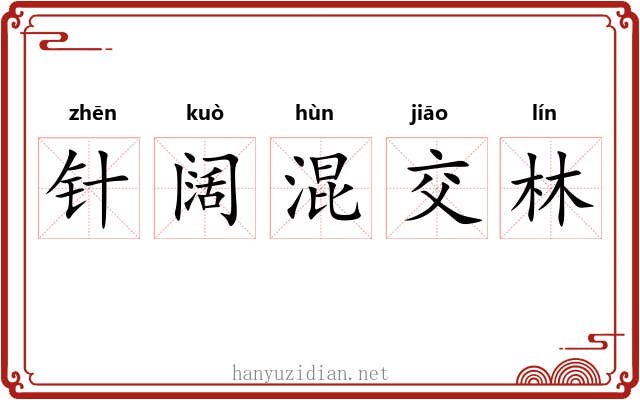 针阔混交林 针阔混交林