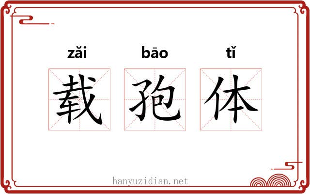 载孢体 载孢体