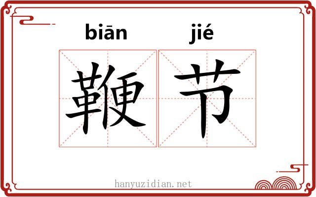 鞭节 鞭节