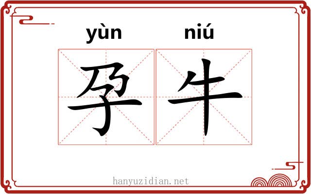 孕牛