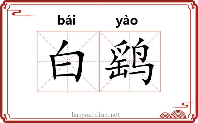 白鹞 白鹞