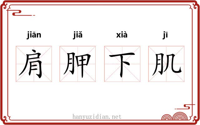 肩胛下肌
