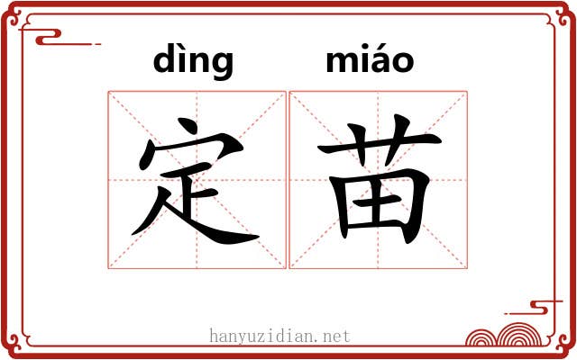 定苗 定苗