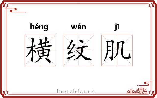 横纹肌 横纹肌