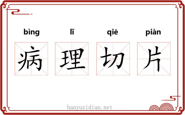 病理切片 病理切片