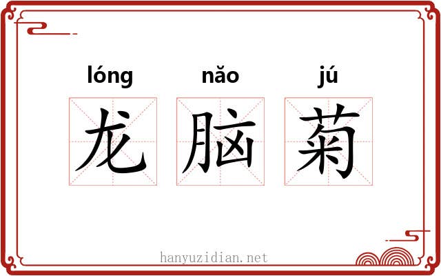 龙脑菊 龙脑菊
