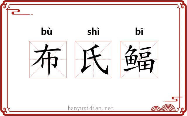 布氏鲾 布氏鲾